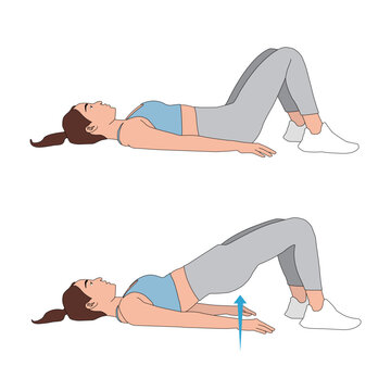 Glute Bridge Exercise Illustration: Two-Step Full Body Vector Diagram - Core and Glutes Training