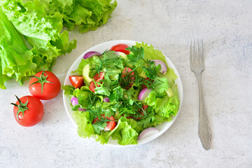 Fresh Green Salad with Tomatoes and Red Onion on a White Plate with a fork