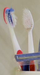 toothbrushes are in a glass in the bathtub