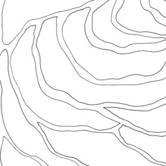 Abstract contour line background. Modern topographic pattern with organic curves and wavy lines. Minimal black and white vector texture perfect for posters, packaging, branding, and surface design.