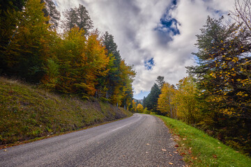 Fototapeta premium a mountain road during autumn with colorful trees