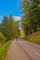 Obraz premium a mountain road during autumn with colorful trees