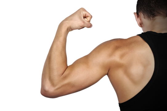 Young man showing biceps.