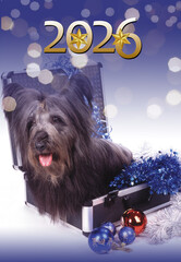 2026 Merry Christmas and Happy New Year