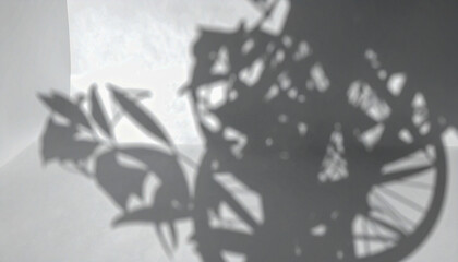 Naklejka premium Abstract Shadow Play Minimalist Black and White