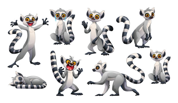 Funny ring-tailed lemur characters set showing various emotions and poses like sleeping, running, and smiling. Vector cartoon character illustration