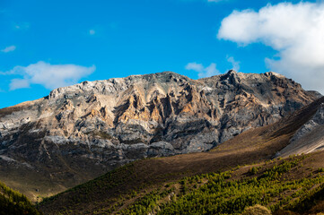 The rocky mountains and forest vegetation scenery of the Qinghai-Tibet Plateau region