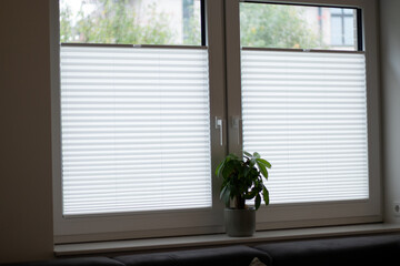 White pleated blinds on two windows in a room, window sill with a green plant 