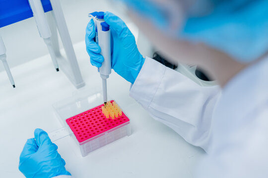 Scientist performs sample preparation using pipette in a laboratory setting
