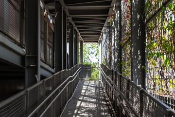 Modern architectural ramp with metal railings and mesh walls, surrounded by vertical greenery and...