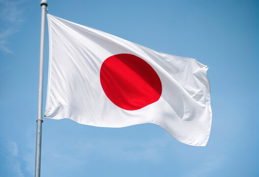 flag of japan 3D