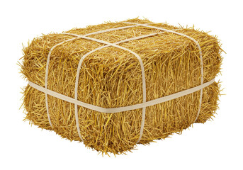Isolated bale of hay tied with twine, dried grass block for animals, livestock bedding