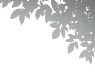 Gray leaves form an upper corner arc against a black background. Simple shapes with elegant, soft edges