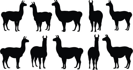 Set of black llama silhouettes in side profile view, isolated vector icons for animal design, pattern, and identification use. © KanonRani art