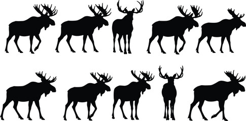 Set of black moose silhouettes in side profile view, isolated vector icons for wildlife design, nature illustration, and pattern use.