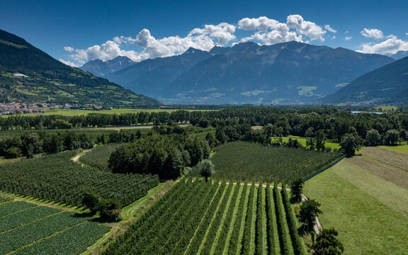 Aerial view of orchards and meadows meet the towering Alps under a vast blue sky, punctuated by fluffy clouds, Mals, Trentino-South Tyrol, Italy.