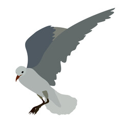 Seagull , Minimalist Flat style Bird