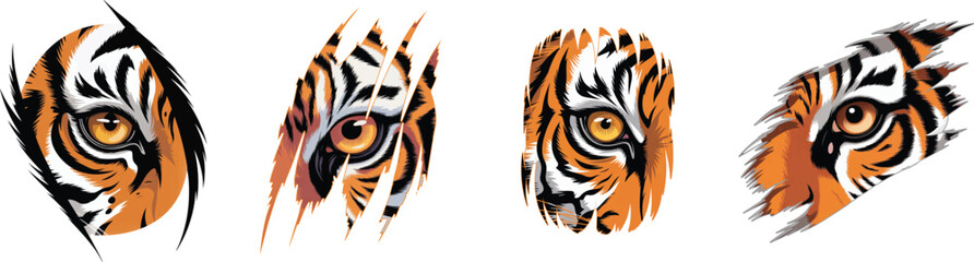 Set of Tiger eye vector graphic.