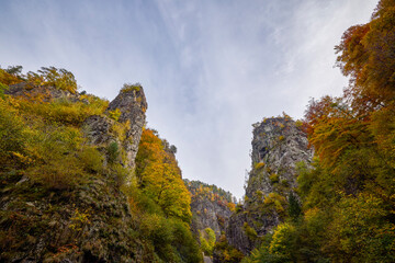 Beautiful mountain landscape in autumn colors in the Black Forest mountains of Germany.