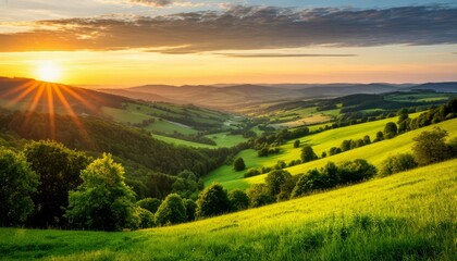 Obraz premium Green valley landscape unfolding under a vivid morning sun, illuminating rolling hills and lush fields with golden light, representing nature's beauty and tranquility