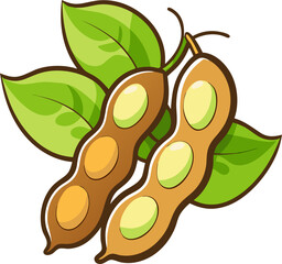 vector illustration of Soybeans