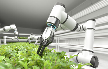 Robotic arms harvesting vegetables in a smart indoor farm. 3D illustration