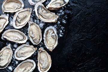 Fresh raw oysters on ice background, overhead flat lay view on a black slate texture, with copy space