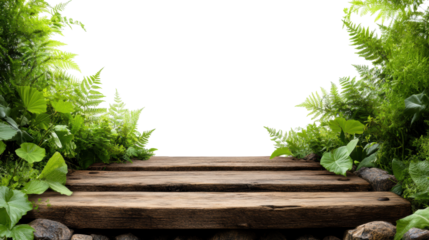 Wooden pathway surrounded by lush green foliage on transparent background