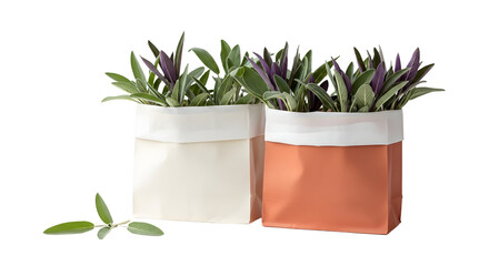 Two decorative fabric pots with green leafy plants isolated on white background, perfect for home decor and indoor gardening