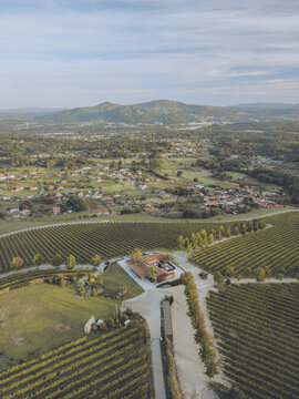 Aerial view of a serene valley unfolds with geometric vineyards meeting a rustic building and distant mountains under a tranquil sky, Tomino, Pontevedra, Spain.