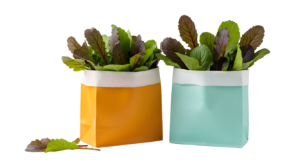 Fresh organic leafy greens in colorful reusable bags isolated on white, perfect for eco-friendly shopping and sustainable living