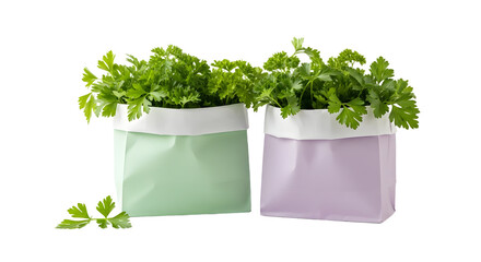 Fototapeta premium Fresh parsley herbs growing in pastel-colored paper pots isolated on white background, ideal for gardening and home decor