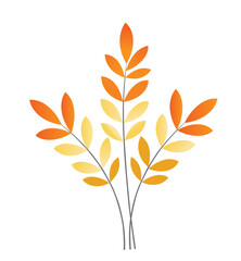 Isolated vector illustration of autumn maple leaves and a tree design set with orange and yellow color for nature fall decoration.