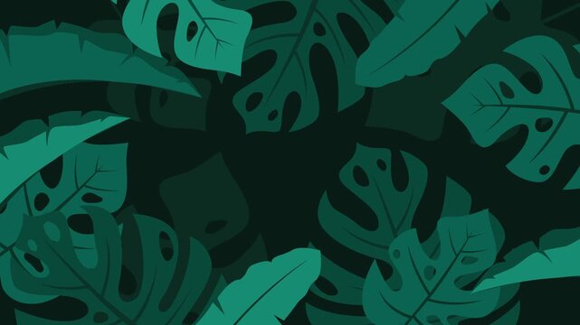 Minimal tropical monstera leaves animation with soft shadows and empty center for copy space, ideal for summer, nature, or tropical themed designs.