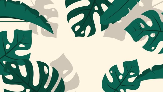 Minimal tropical monstera leaves animation with soft shadows and empty center for copy space, ideal for summer, nature, or tropical themed designs.