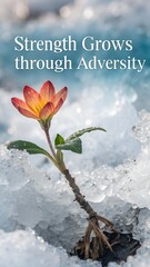 Blooming flower pushing through ice representing strength and growth