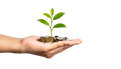 A hand holding coins with a small plant growing out of it, symbolizing financial growth and investment