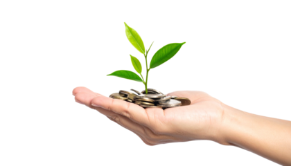 Hand holding sprout and coins representing growth and investment