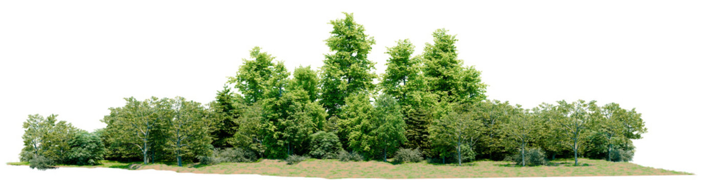 Big scene of tree and forest PNG transparent background, No original background, 3d illustration rendering 