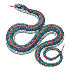 An elegant snake set against a clean white background. 
