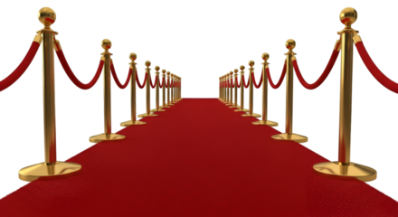Red Carpet with Gold Stanchions and Ropes event premiere