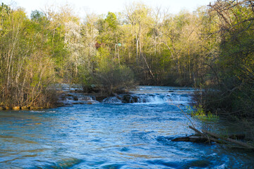 A quiet section of the Niagara River flows through lush spring trees and gentle cascades, showing the natural forest beauty surrounding Niagara Falls State Park