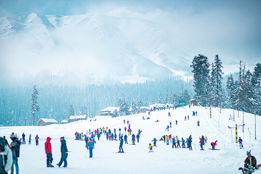 Aerial view of skiers gliding down the snow-covered slopes, with distant mountains veiled in mist, Gulmarg, Jammu and Kashmir, India.