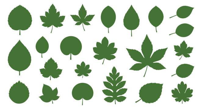 A diverse collection of green leaf silhouettes illustrating various plant types, perfect for ecological and nature-themed designs and graphic elements.