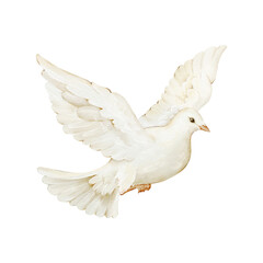 White flying dove. Isolated watercolor clipart. Hand drawn bird illustration for wedding stationery, peace and religious designs, baptism and confirmation cards, greeting cards, decorative projects