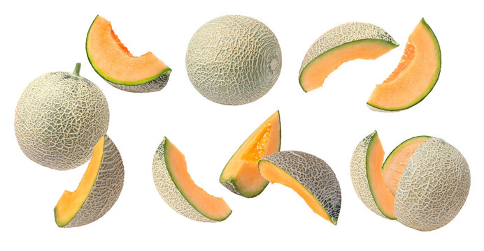 set of cantaloupe melon isolated on white background.