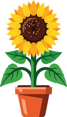 Obraz premium Vector Illustration of Sunflower Growing in a Pot – Decorative Floral Design Isolated on White Background