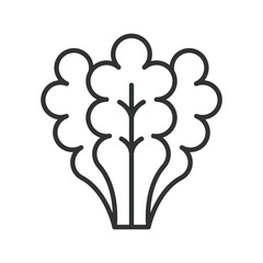 Green vegetables icon in line design. vegetables, greens, healthy, nutrition, diet, organic, food on white background vector. green editable stroke icon