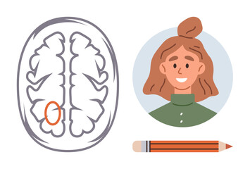 Human brain sketch with marked detail, cheerful woman portrait in round frame, pencil below. Ideal for education, neurology, creativity, well-being, learning psychology connection. Simple flat