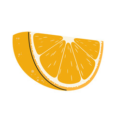 Orange fruit slice illustration with juicy texture